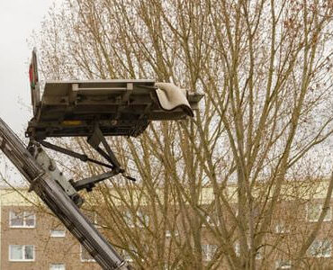 Möbellift in Zwickau: Möbellift zwischen kahlen Bäumen vor einem Gebäude