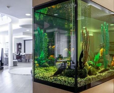 Aquarium-Umzug Zwickau: Großes Aquarium in einem modernen Wohnzimmer