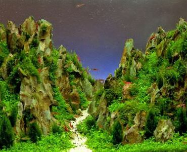 Aquarium-Umzug Zwickau: Aquarium mit Felslandschaft und Pflanzen